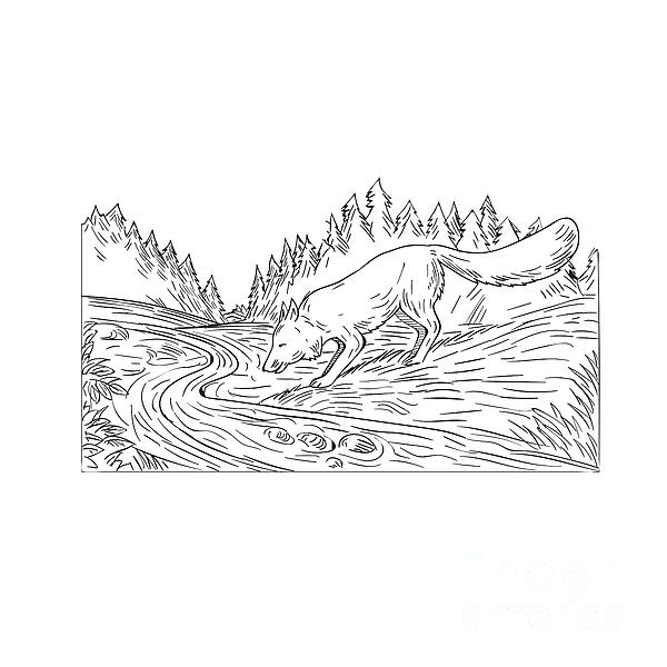 600x600 Fox Drinking River Woods Black And White Drawing Throw Pillow - Fox Black And White Drawing