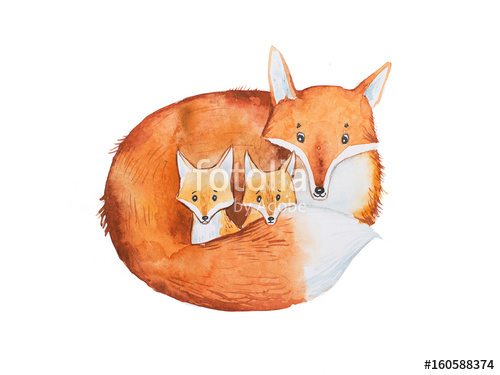 500x375 drawing of cute fox family, mother and two fox cubs stock photo - Fox Cute Drawing
