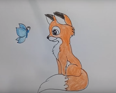 370x297 How To Draw A Cute Fox Step - Fox Cute Drawing