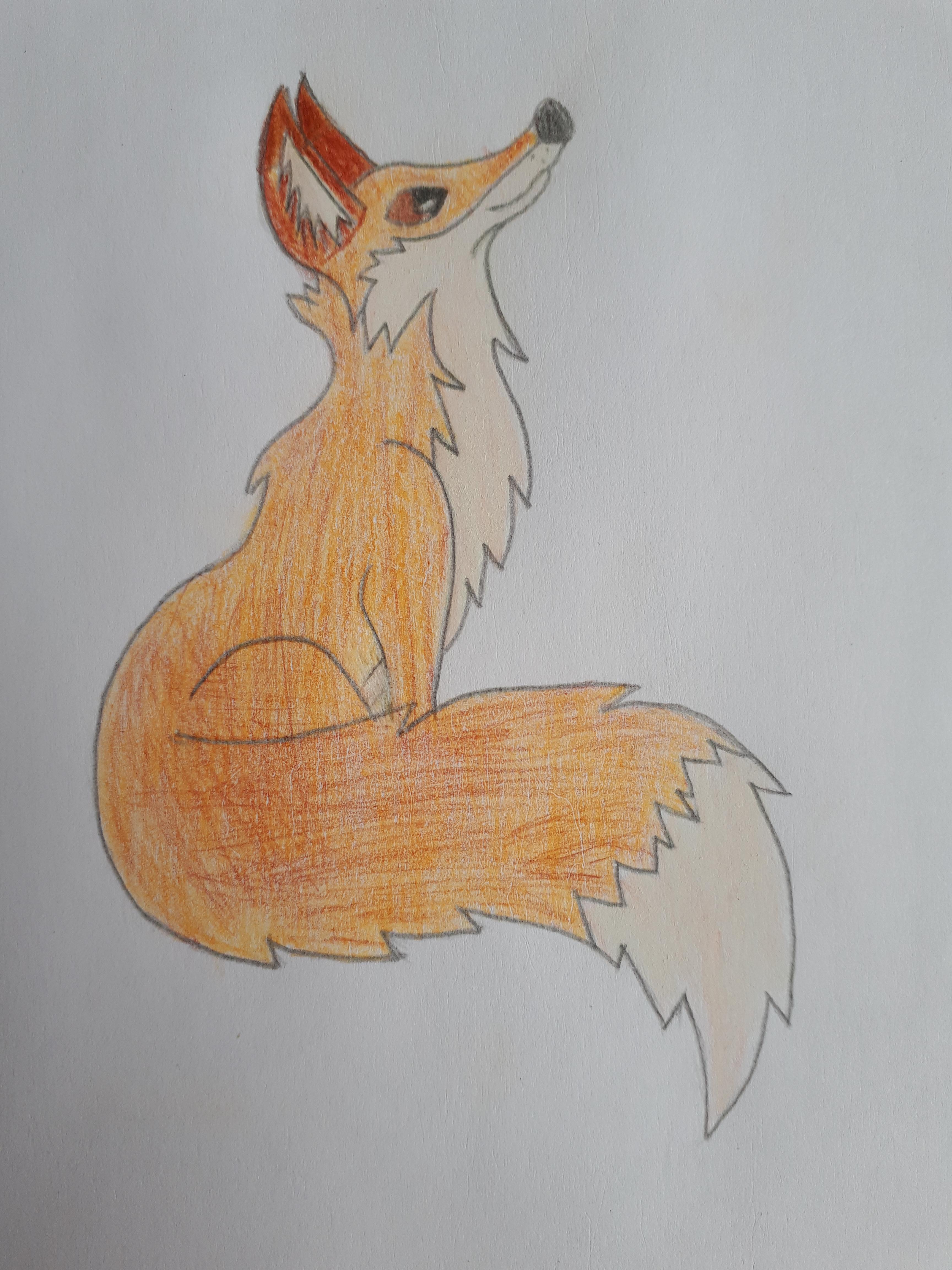 3456x4608 Fox Drawing - Fox Drawing