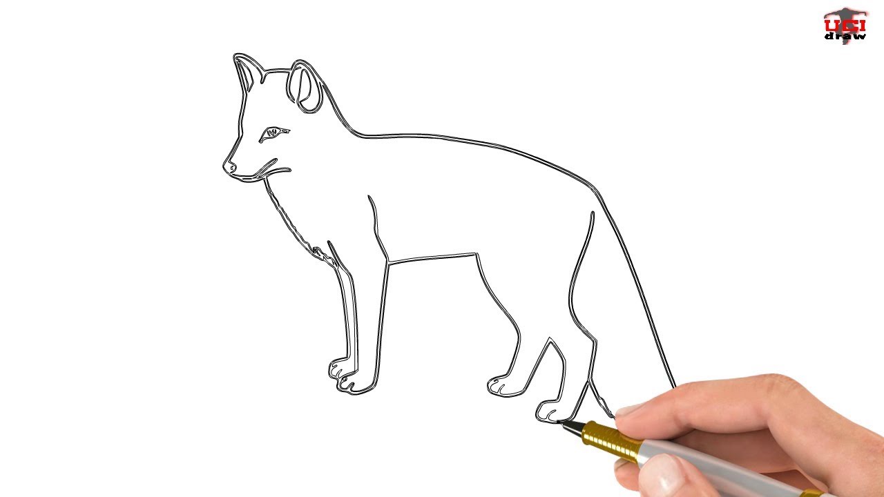 1280x720 How To Draw A Fox Easy Drawing Step - Fox Drawing