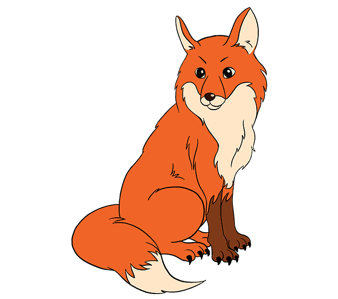 678x600 How To Draw A Fox In A Few Easy Steps Easy Drawing Guides - Fox Drawing
