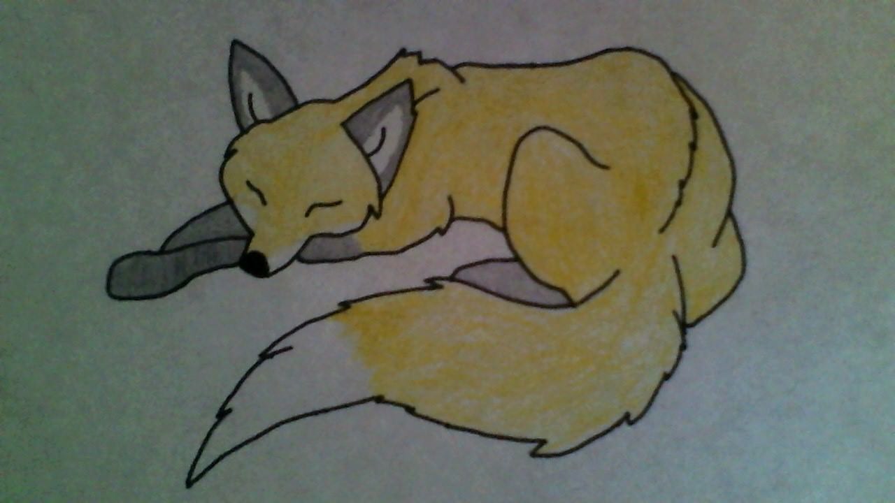 1280x720 Sleeping Fox Drawing - Fox Drawing