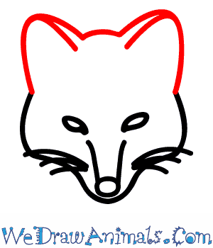 300x350 How To Draw An Arctic Fox - Fox Drawing Easy