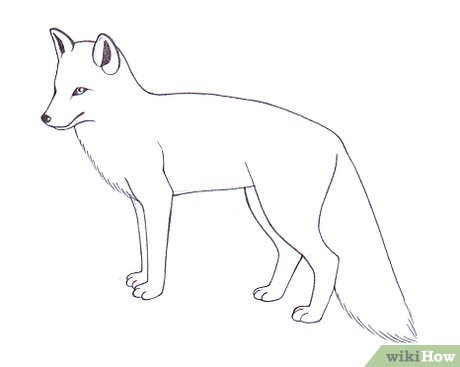 460x367 Ways To Draw A Fox - Fox Drawing Easy