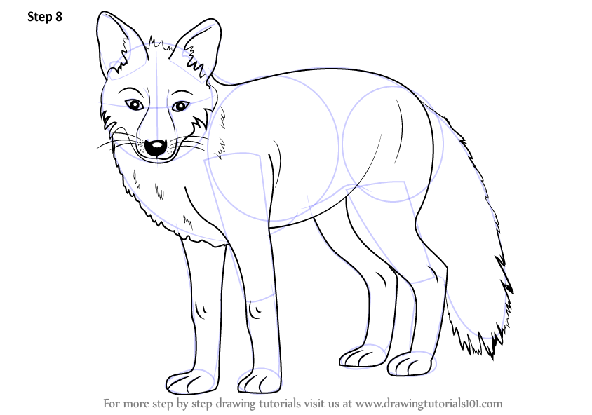 844x592 Learn How To Draw A Fox - Fox Drawing Easy