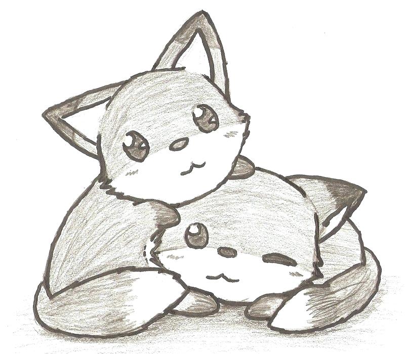 Fennec Fox Easy Cute Baby Fox Drawing - bmp-news