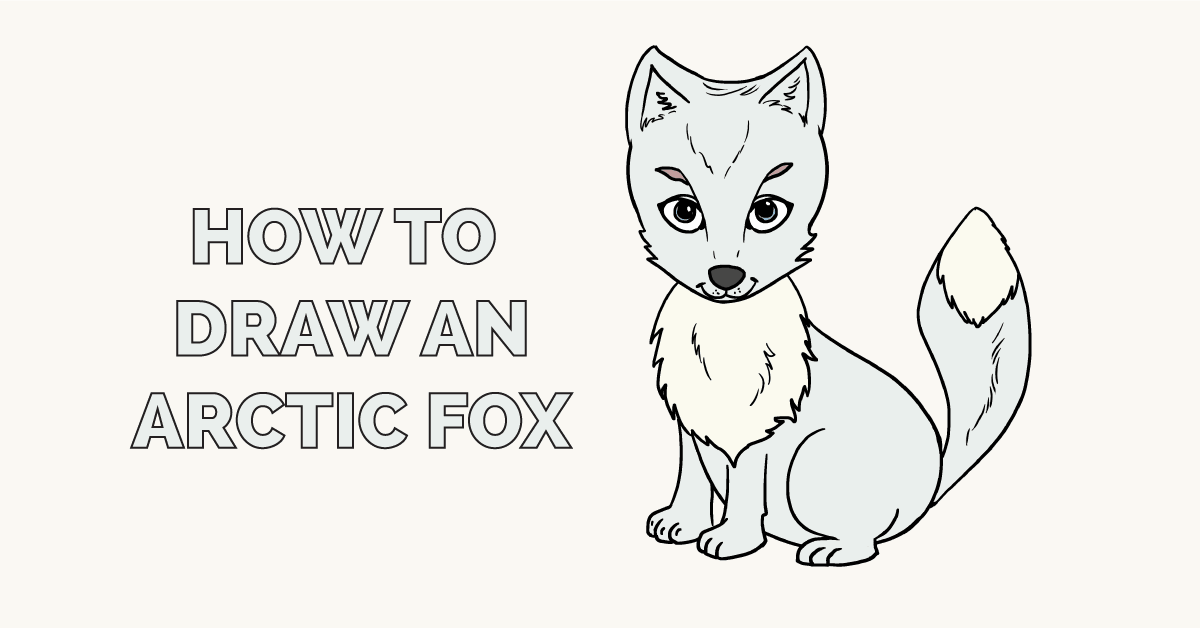 1200x628 How To Draw An Arctic Fox - Fox Drawing Images
