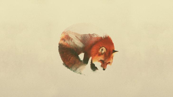 728x410 Fox Wallpaper - Fox Drawing Wallpaper