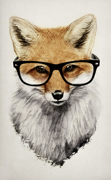 371x600 fox wallpaper wallpaper fox art, art, fox - Fox Drawing Wallpaper