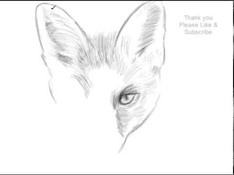 480x360 how to draw a fox face yzarts yzarts - Fox Face Drawing