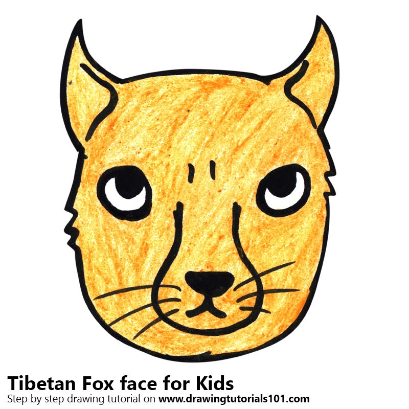 800x800 Learn How To Draw A Tibetan Fox Face For Kids - Fox Face Drawing