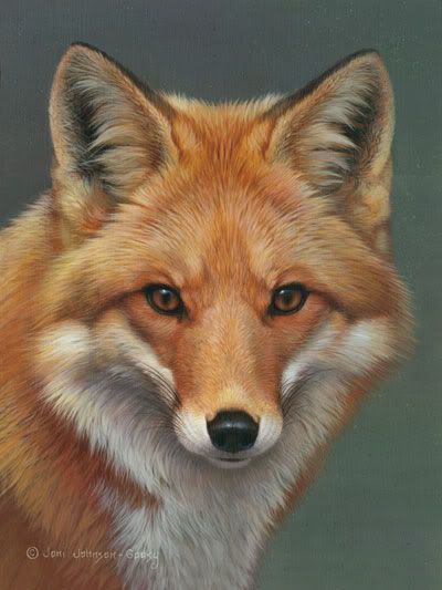 400x533 Tattoos Piercings Red Fox - Fox Face Drawing