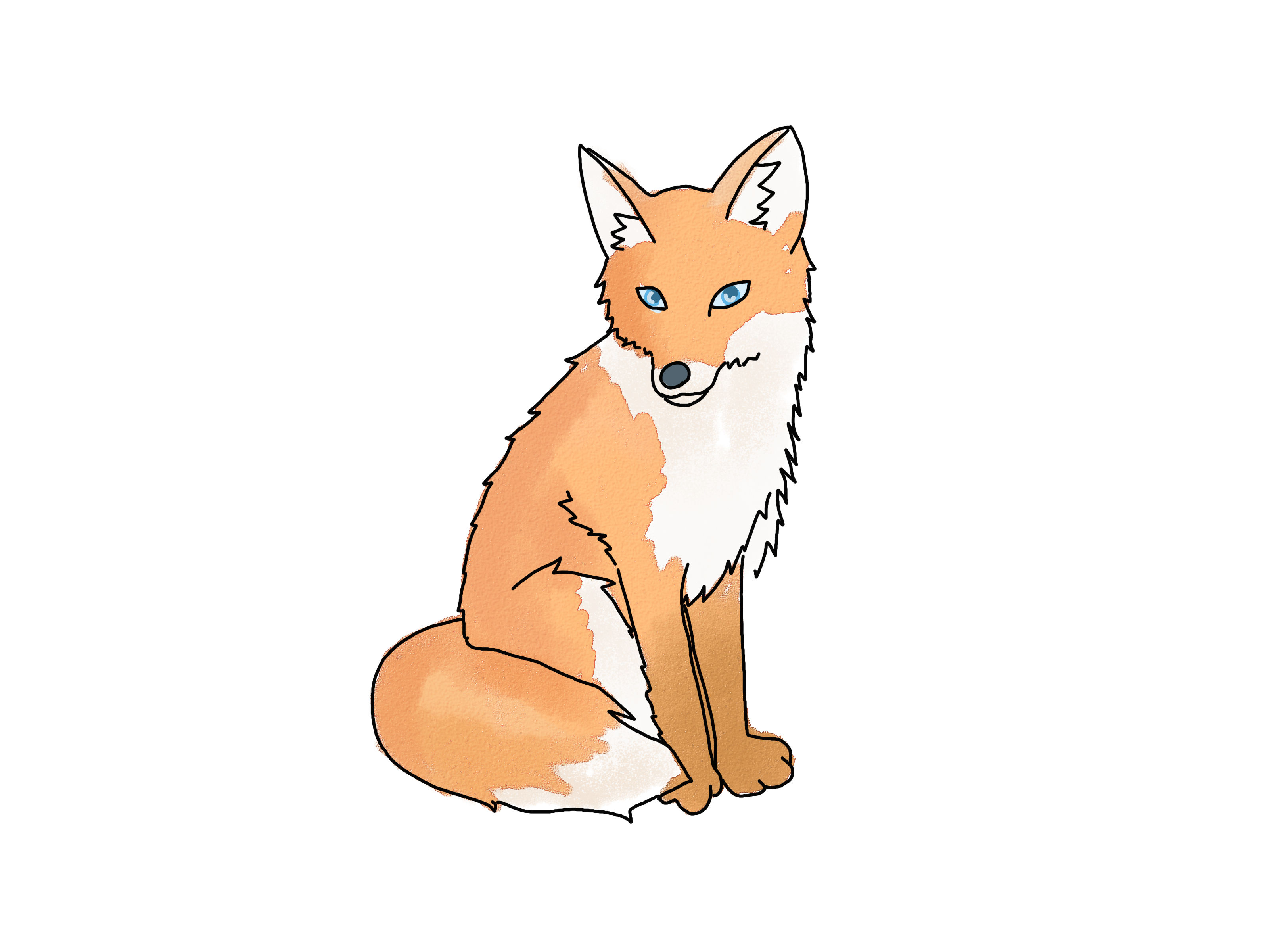 3200x2400 Simple Fox Face Drawing Draw A Fox Foxes, Drawings - Fox Face Drawing