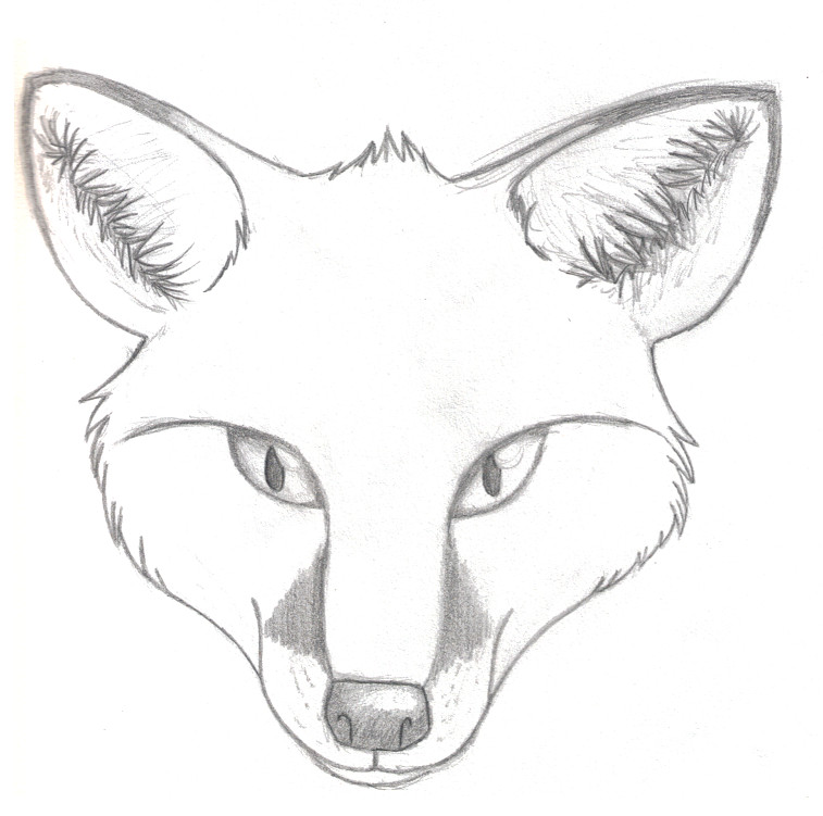Drawing Outline Fox Face Drawing Easy