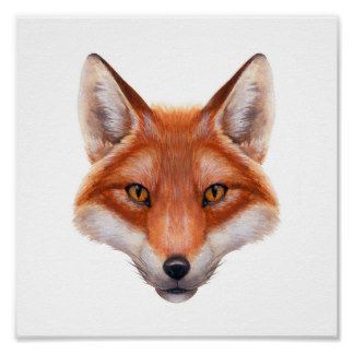 324x324 Red Fox Drawing - Fox Face Drawing