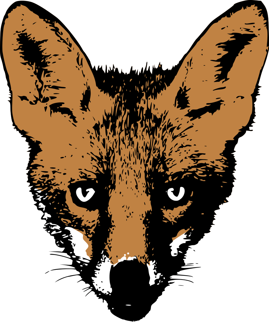 855x1024 Filedrawing Fox Face - Fox Face Drawing