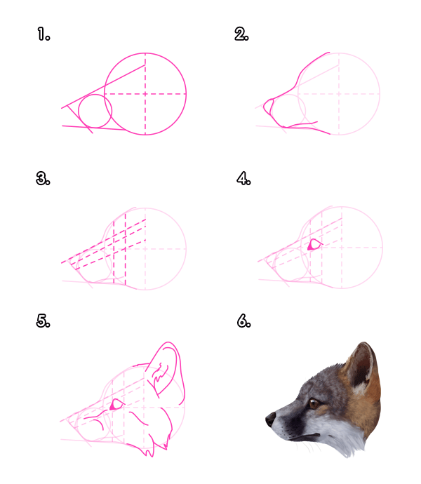 600x690 How To Draw Animals Foxes - Fox Head Drawing
