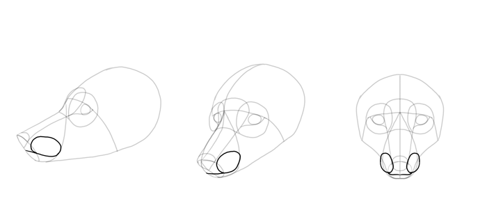 700x289 How To Draw A Fox Step - Fox Head Drawing