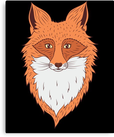 457x550 Orange Fox Head Drawing Canvas Prints - Fox Head Drawing