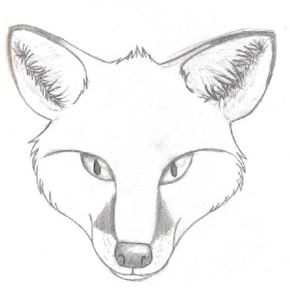 600x600 Cute Fox Coloring Pages Fox Head Coloring Pages Foxy - Fox Head Drawing