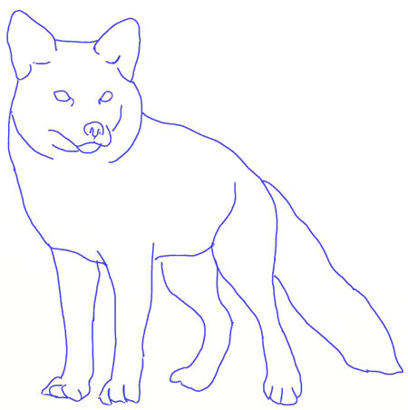 450x452 How To Draw A Fox - Fox Images Drawing