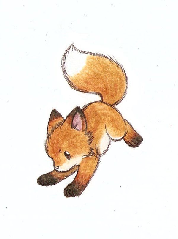 600x804 So, I Have Been Drawing Some New Things Wanted To Draw - Fox Images Drawing