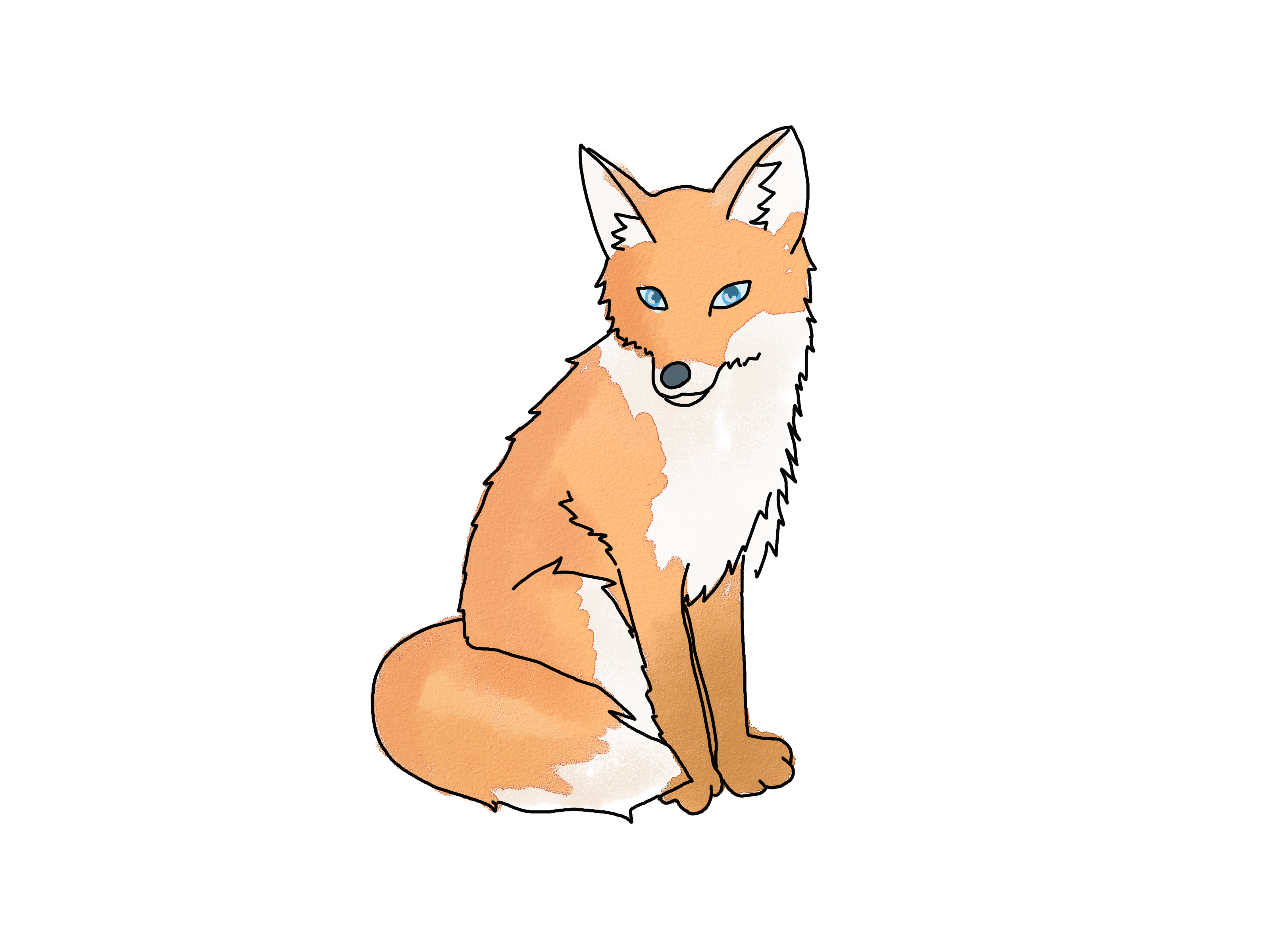 3200x2400 Draw A Fox How To Draw Cute Fox Drawing, Cartoon Fox Drawing - Fox Images Drawing