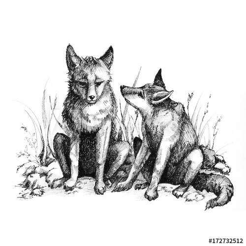 500x500 Stylized Fox Forest Animals Cute Fox Line Art Black And White - Fox Line Drawing