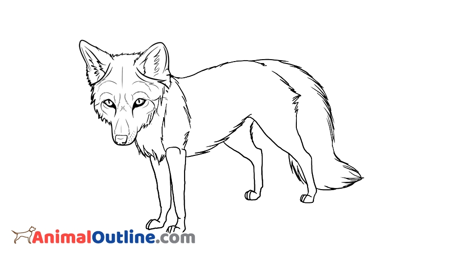 Fox Outline Drawing at PaintingValley.com | Explore collection of Fox