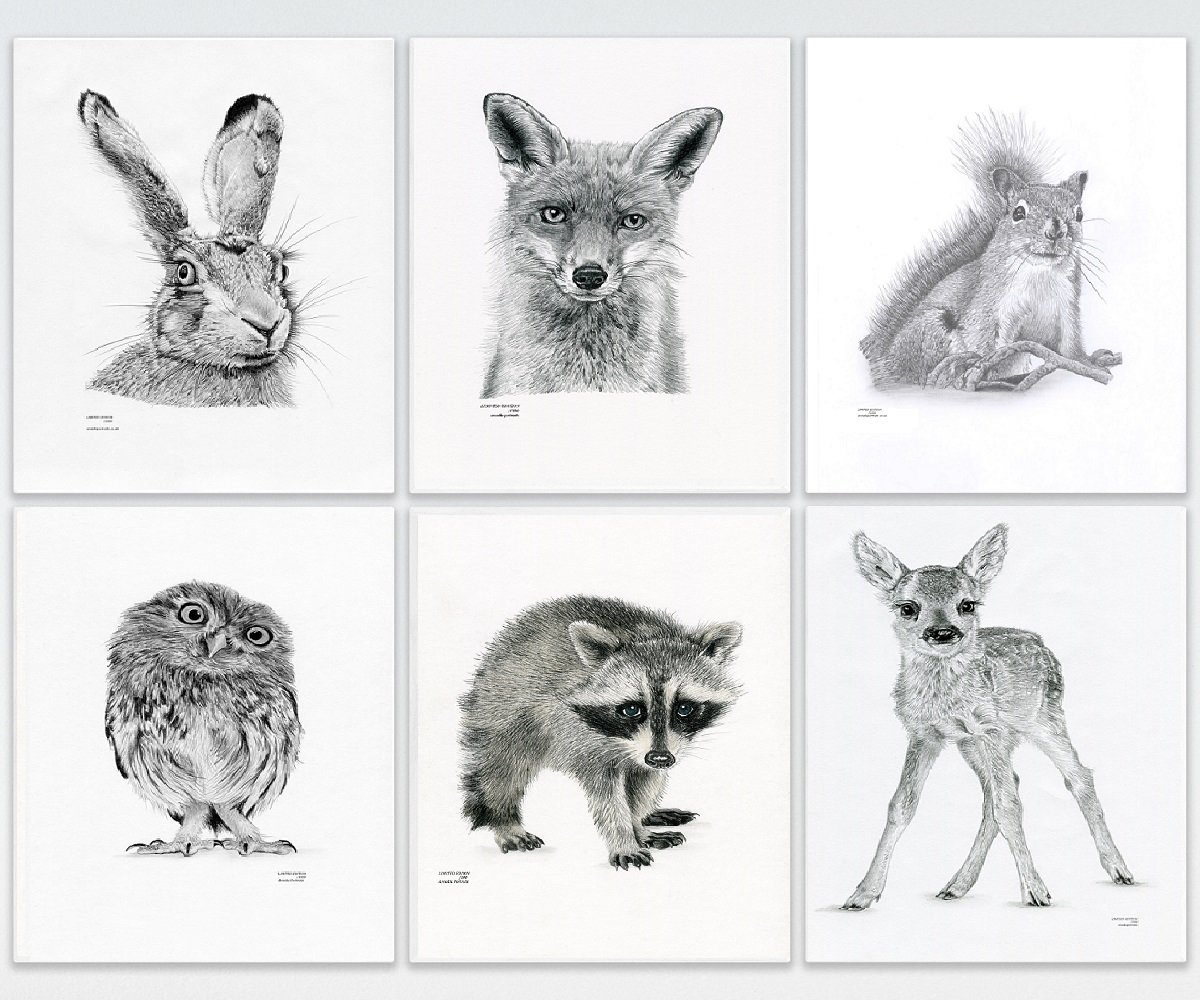 1200x1000 Nursery Woodland Animal Set Of Art Pencil Drawing Art Prints Fox - Fox Pencil Drawing