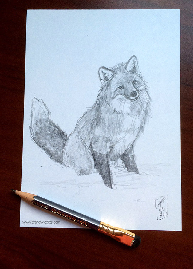 645x900 Original Red Fox Wildlife Artwork Sketch Pencil Drawing Fine - Fox Pencil Drawing