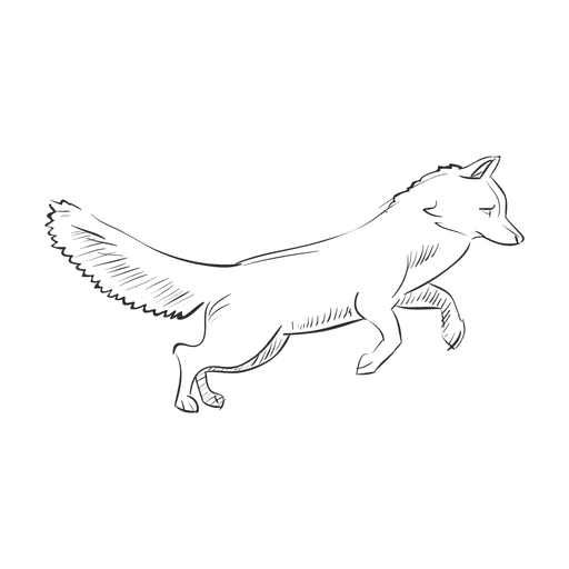 512x512 Pencil Drawing Fox - Fox Pencil Drawing