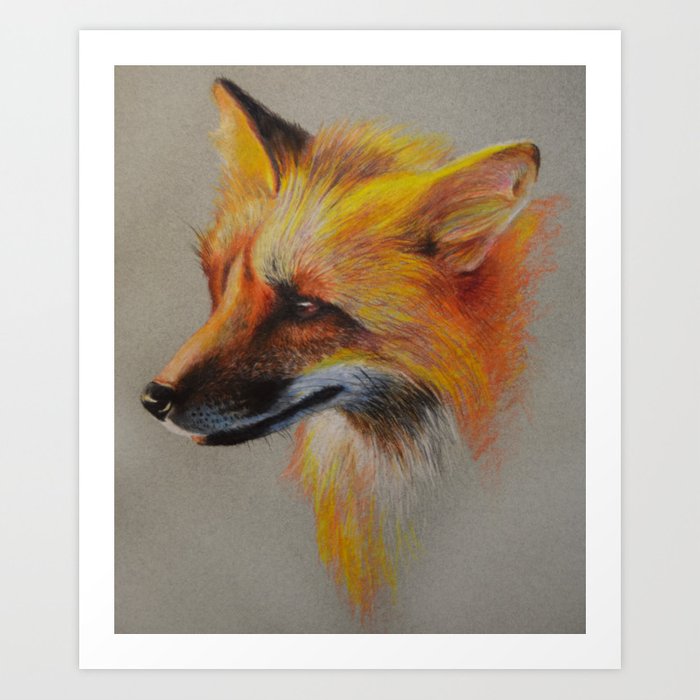 700x700 Fox Portrait Colored Pencil Drawing Art Print - Fox Pencil Drawing