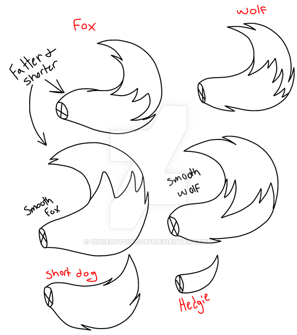Tail References - Fox Tail Drawing. 