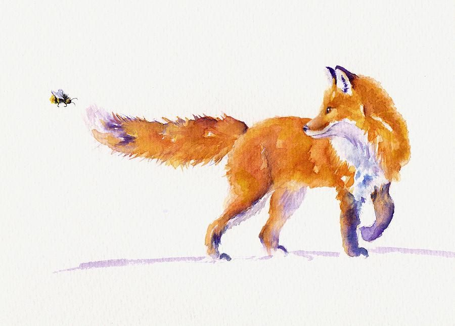 900x645 A Sting In The Tail Painting - Fox Tail Drawing