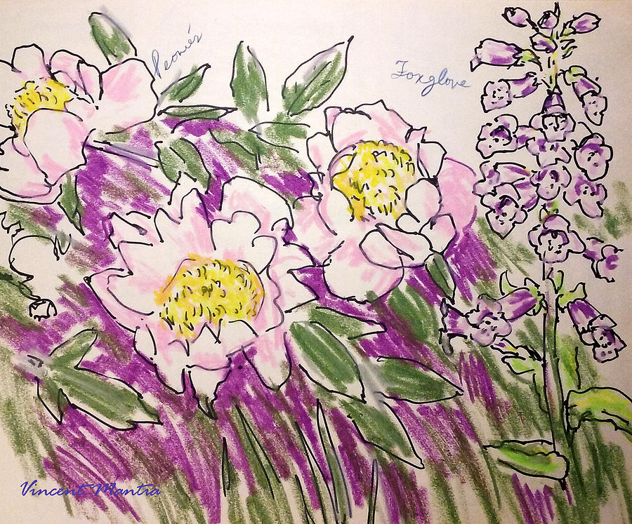 900x747 foxglove and peonies central park drawing - Foxglove Drawing