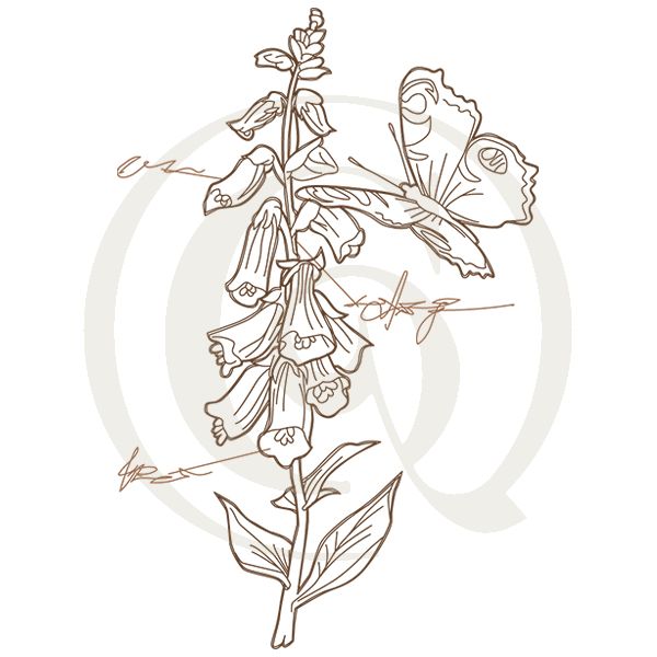 600x600 foxglove botanicals svgdxf flowers drawing craft genesis - Foxglove Drawing