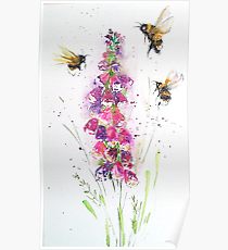 210x230 foxglove drawing posters redbubble - Foxglove Drawing