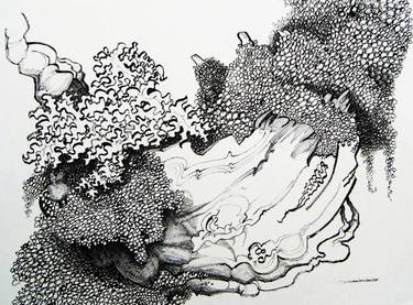 375x277 Original Nature Fractal Drawings For Sale Saatchi Art - Fractal Drawing