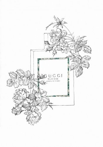 351x500 Gucci Fragrance - Fragrance Drawing
