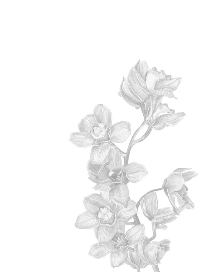 650x867 Love Letters With Fragrance That Sway Your Heart Funny How - Fragrance Drawing