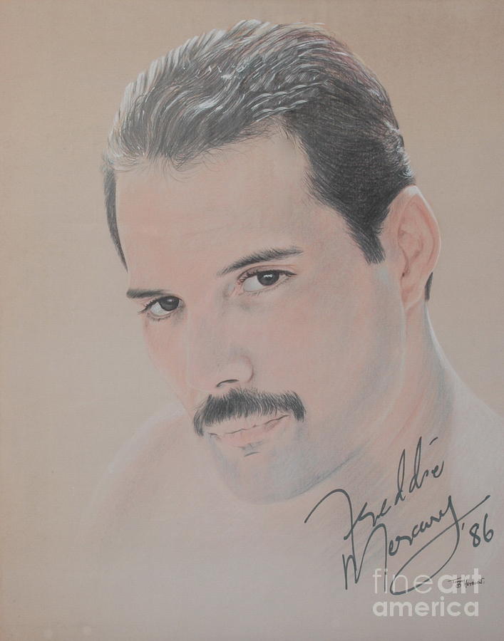 707x900 Freddie Mercury Signed Drawing - Freddie Mercury Drawing