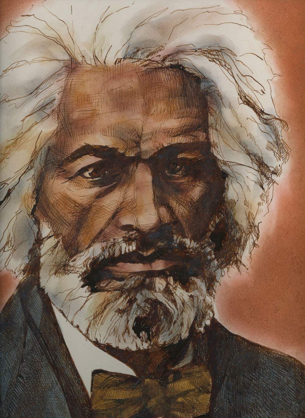 1000x1367 cedar rapids art museum to exhibit local illutrator's work - Frederick Douglass Drawing