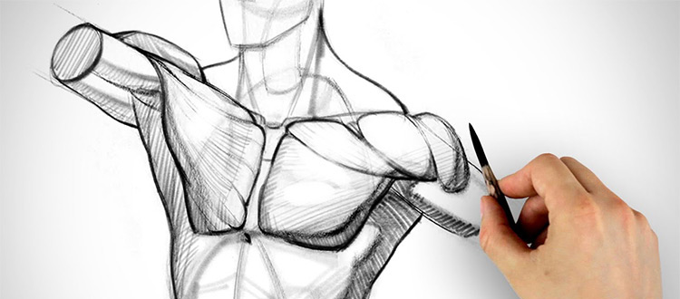 750x330 best free youtube channels for teaching yourself how to draw - Free Art Drawing