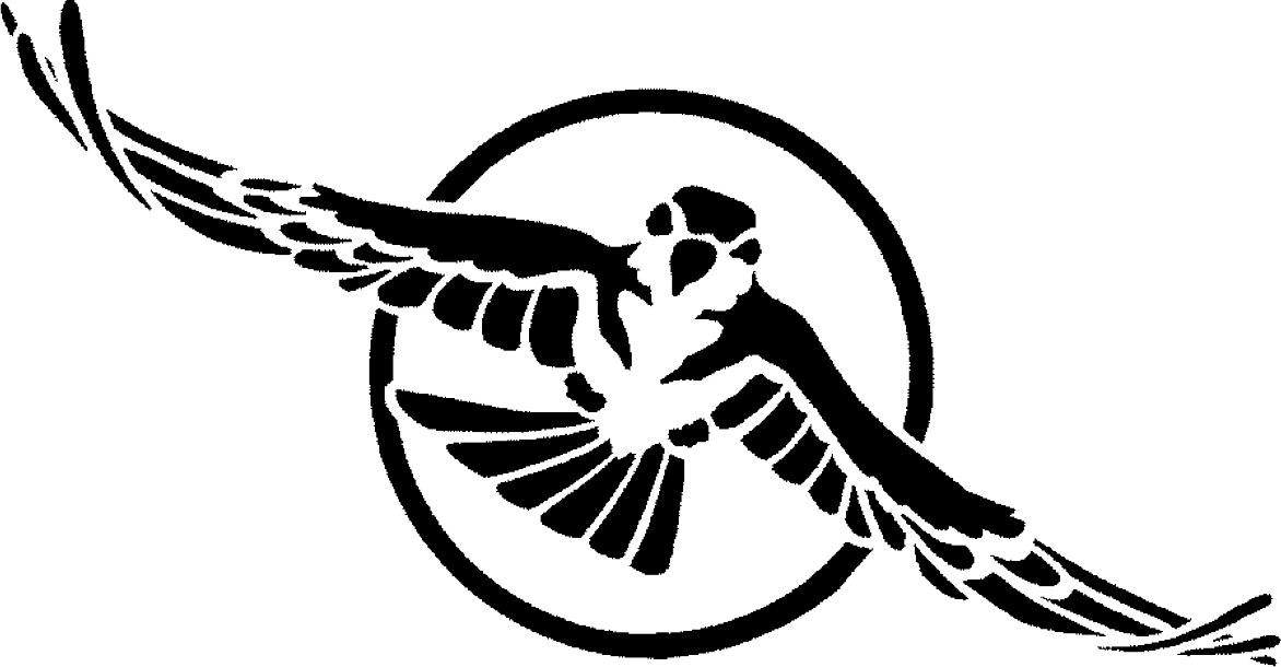 1172x610 Free Bird Free Images - Free Bird Drawing