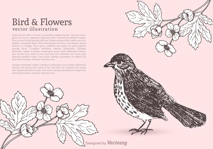 700x490 Free Bird And Flowers Vector - Free Bird Drawing