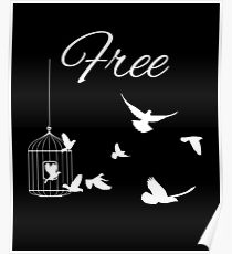 210x230 Save Birds Drawing Posters Redbubble - Free Bird Drawing