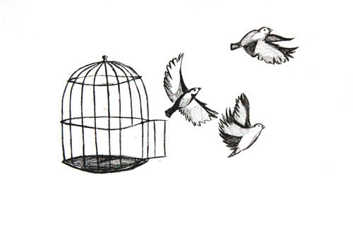 500x333 Art Bird Bridcage Birds Cage Cute Desenhos Drawing Fly Free - Free Bird Drawing