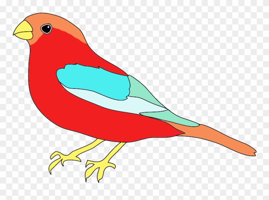 880x654 Banner Free Stock Bird For Drawing At Getdrawings - Free Bird Drawing